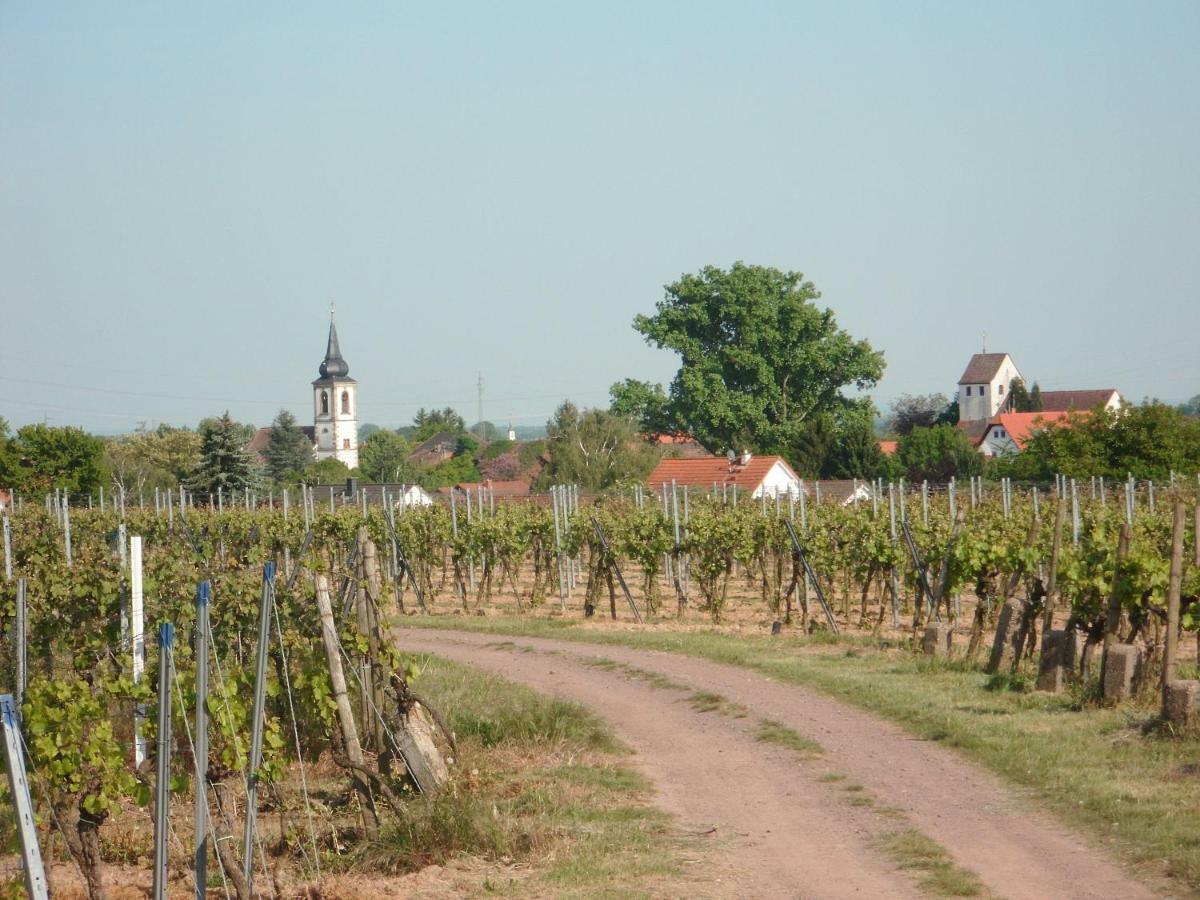 Ferienwohnung Suedpfalz Weingarten  ภายนอก รูปภาพ